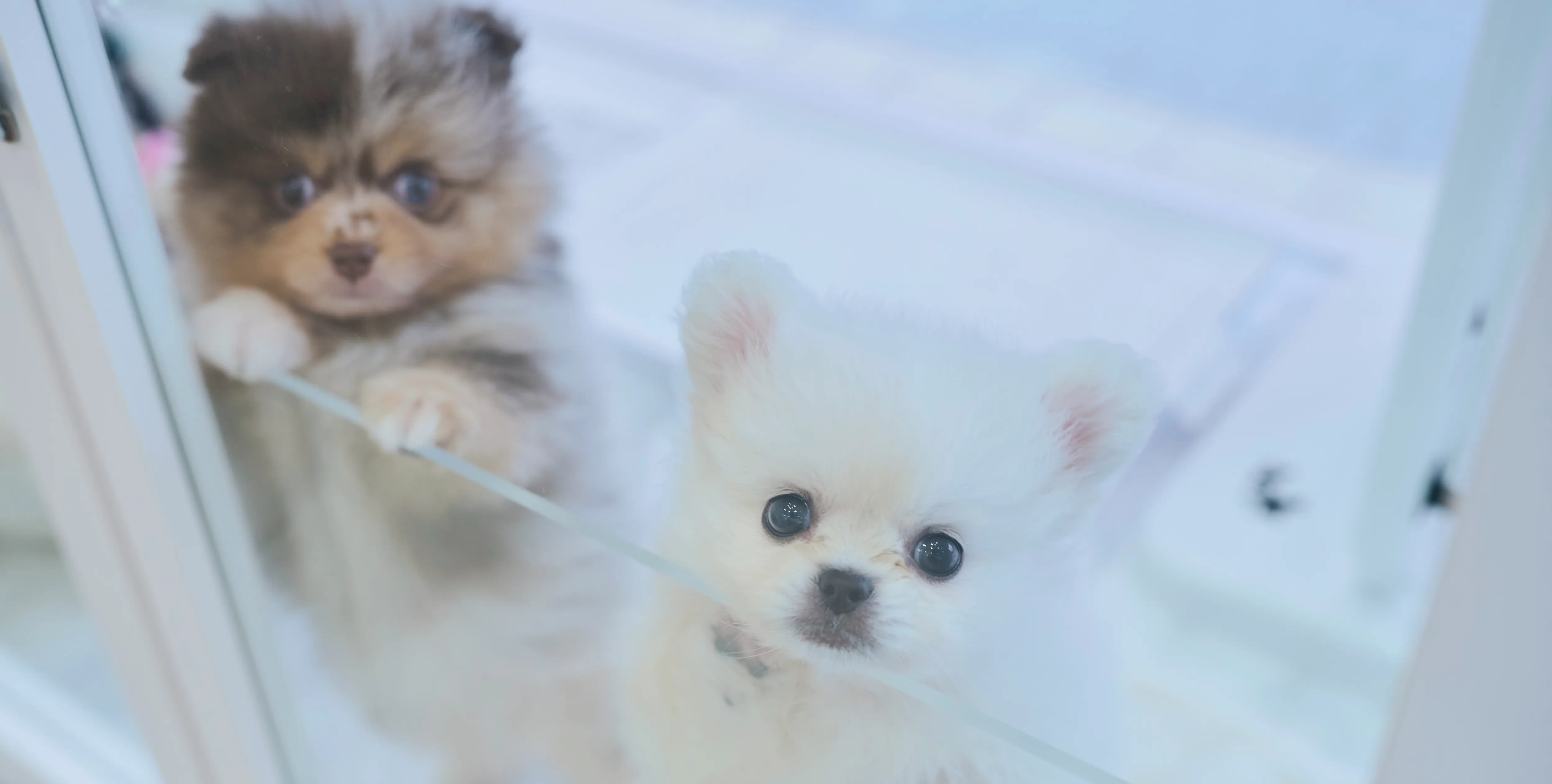 カトレアで働く魅力