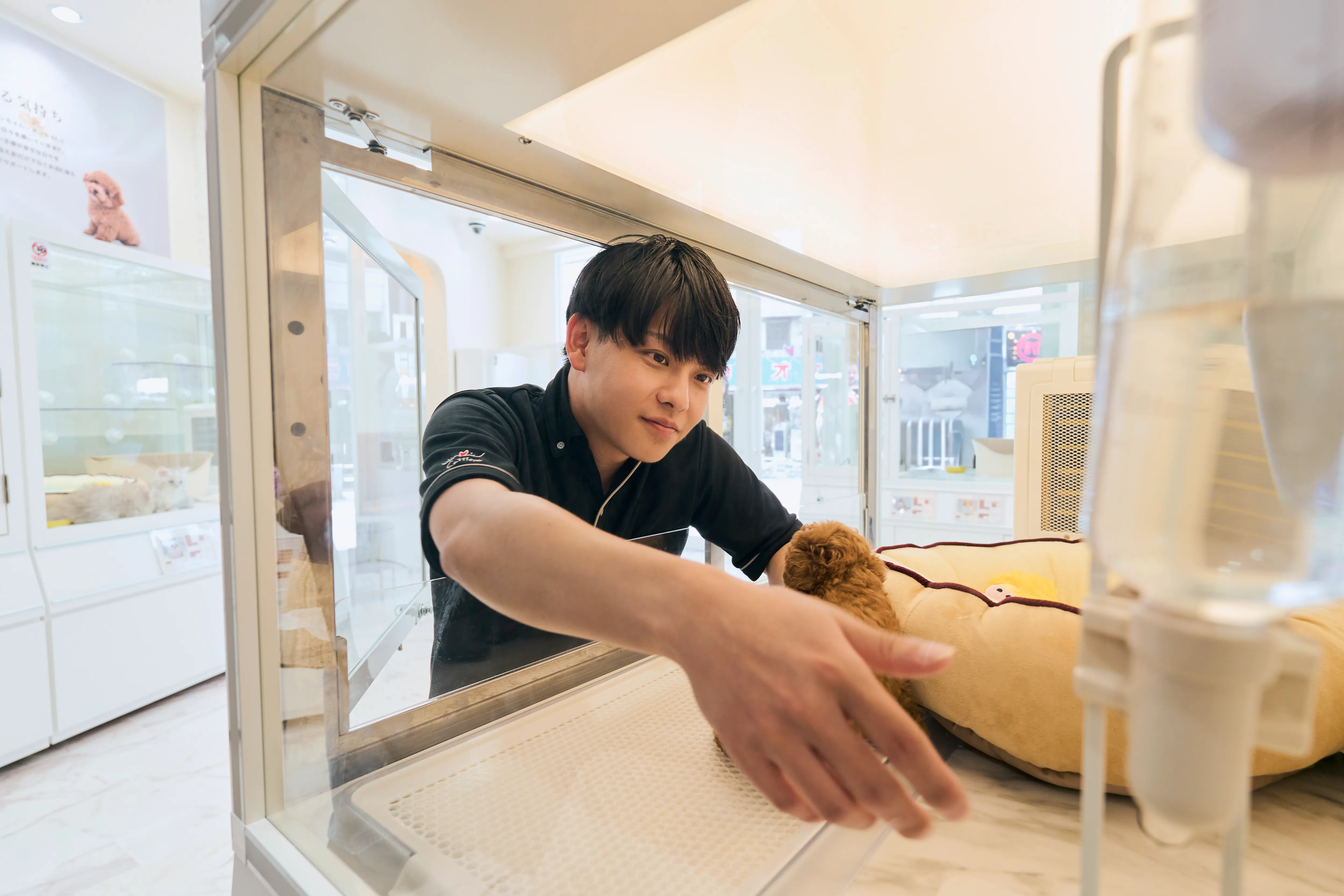 お客様を迎える準備