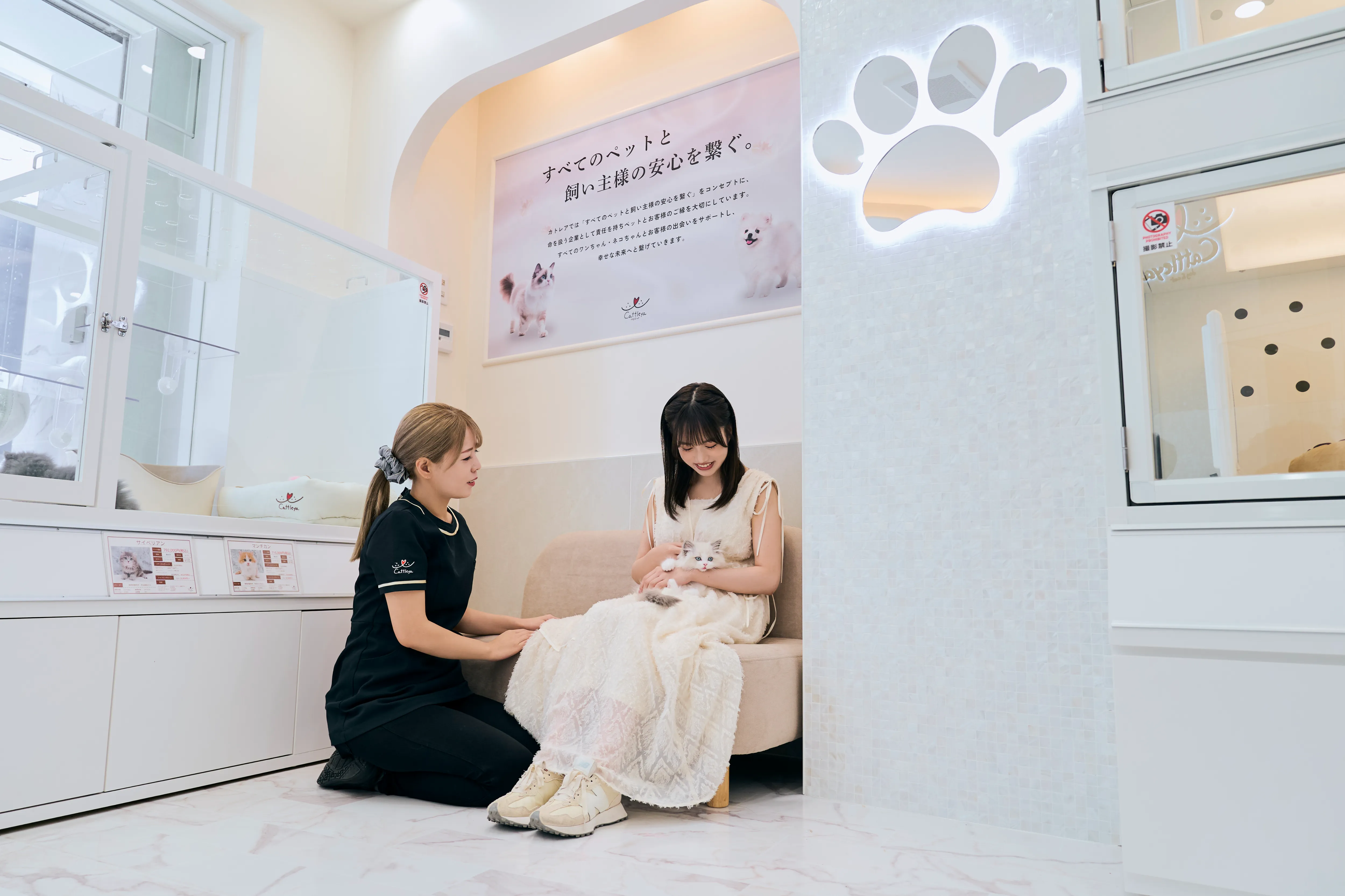 お客様へのご案内