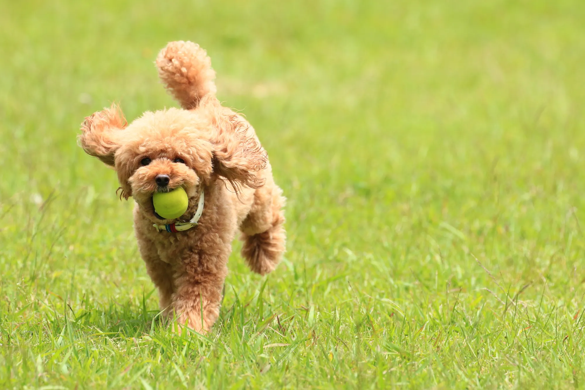 アフターサポート