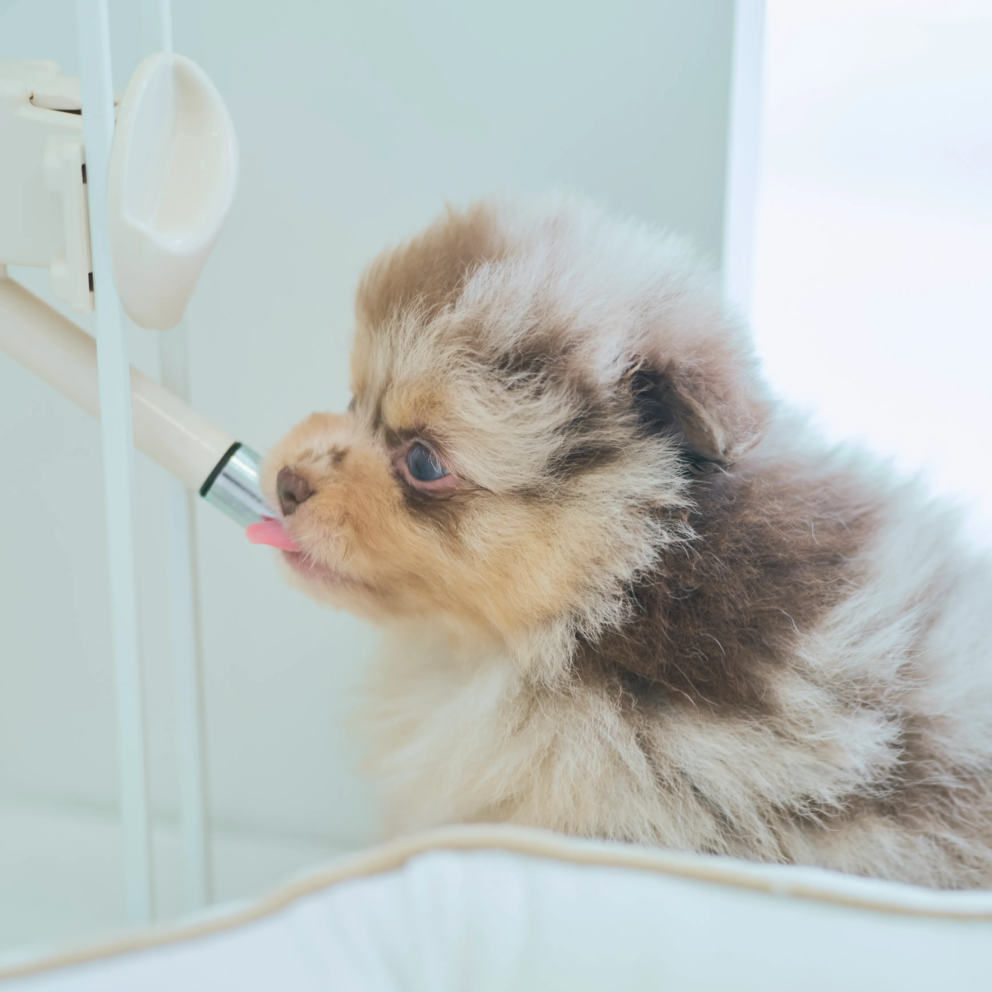 お取り置き可能