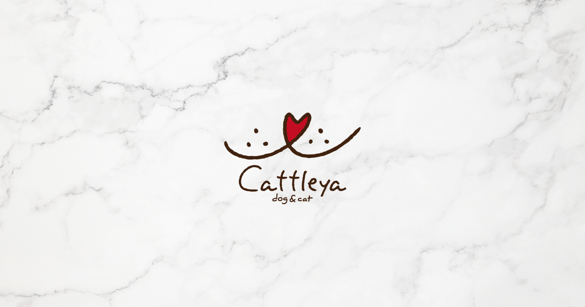 来店予約 | Cattleya(カトレア)